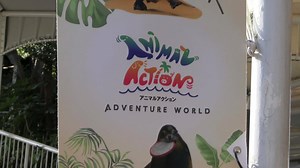 14K views · 3.6K reactions | 【アニマルアクション！】...