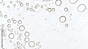 Bubble cluster, cells under a microscope. Transparent cosmetic gel fluid with molecule bubbles oil distribution. Macro Shot of Natural Organic Cosmetics, Medicine. Production Close-up. Slow Motion. 4k