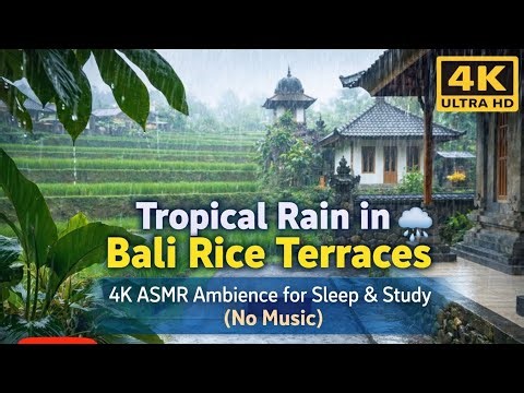 Tropical Rain in Bali Rice Terraces 🌧️ 4K ASMR Ambience for Sleep & Study (No Music)