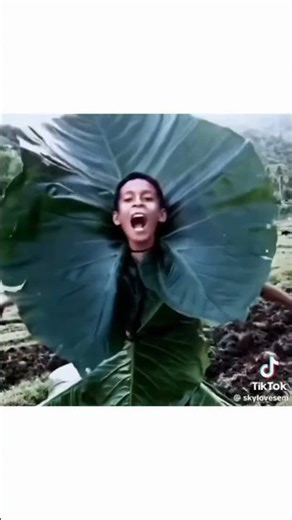 👁️👄👁️💅🏻 #funny #music #remix #memes