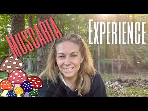 Muscimol Experience Information