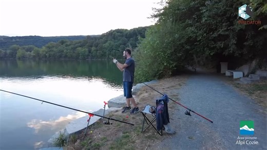VALSUSA, I PESCATORI CATTURANO IL PESCE SILURO AL LAGO DI AVIGLIANA Una squadra di pescatori dilettanti è stata impiegata per il contenimento del pesce siluro nel Parco Naturale dei Laghi di Avigliana. Il video racconta lo spirito del progetto realizzato dal personale dei Parchi delle Alpi Cozie all’interno del progetto europeo @lifepredator.eu! Testo e video dell'ente Parchi Alpi Cozie | Valsusaoggi