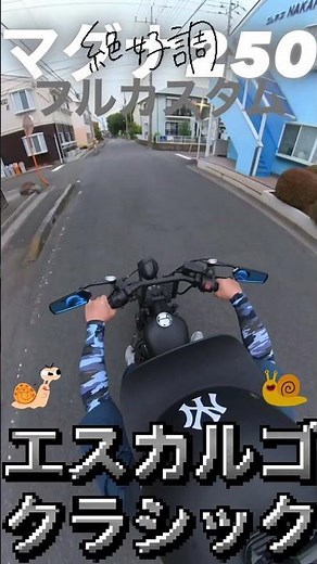 【走行動画】マグナ250 エスカルゴフェンダー 2in1マフラー NEOクラシック マットブラック SS社外タンク フリスコボバーチョッパー