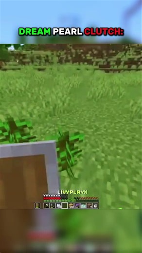 Dream pearl clutch ☠️🥶