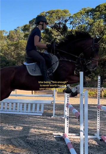 Insights from Last March's Show Jumping Events