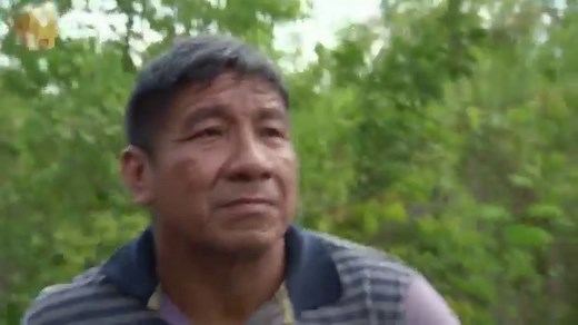 Deforestation in Brazil's Amazon skyrockets to 12-year high under Jair Bolsonaro's push to increase farming and mining to combat poverty