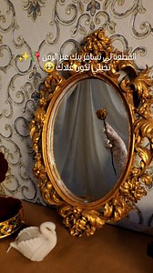 Victorian mirror 🥀✨️ | Holy Apricity
