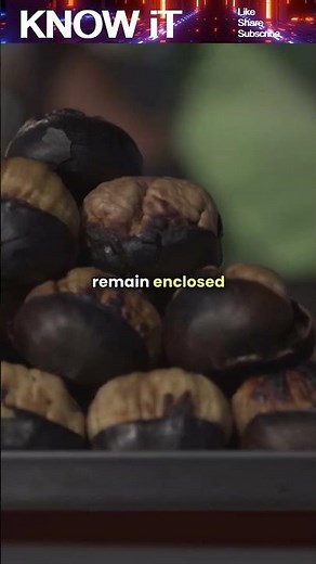 Are Cashews actually Nuts or Seeds?