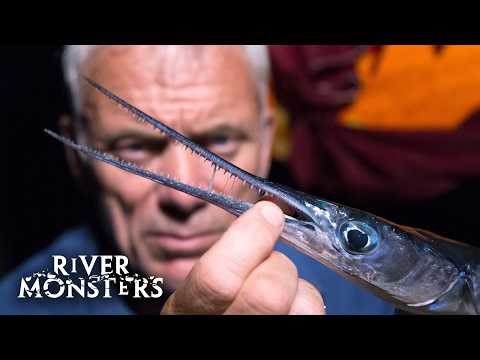 Tracking Down The Small But Deadly Needle Fish | River Monsters