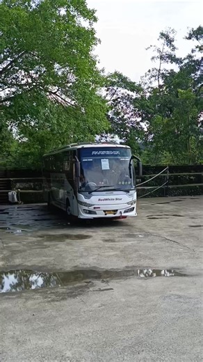 Discover the Bus Mania Community Experience