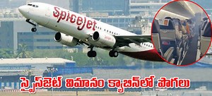 Spicejet: క్యాబిన్‌లో పొగలు.. స్పైస్‌జెట్‌ విమానం వెనక్కి