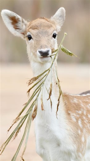 14K views · 900 reactions | How I use masking , Let me know your...