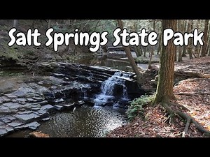 Salt Springs State Park - Amazing Waterfalls and Penny Rock