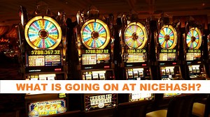 The predatory behavior of Nicehash