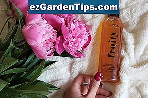 Natūralūs pomidorų augalų insekticidai 🌱 Patarimai Sodininkams - Lt.ezGardenTips.com