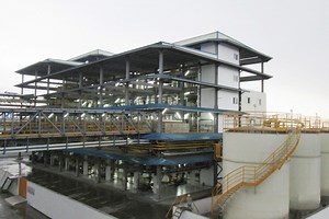 [Hot Item] Sunflower Peanut Soybean Coconut Mustard Rapeseed Avocado Vegetable Edible Cold Screw Oil Making Extraction Mill Expeller Press Machine