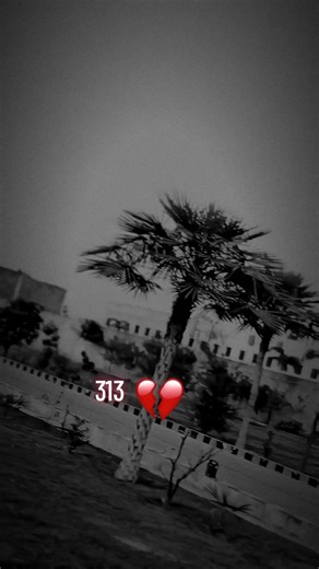 #313🏳️ #💔😭 #313🏳️ #💔😭