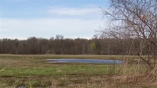 Neighbors try to stop hyperscale data center from being built in Lysander