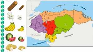 Mapa de producción en Honduras, fotos y todo lo que producen cada departamento