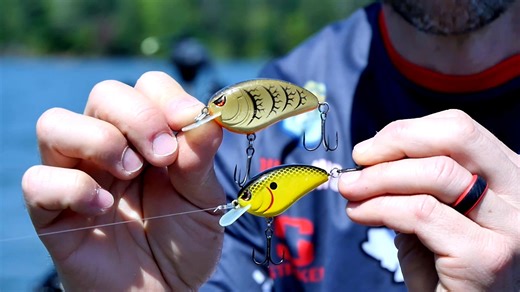 The SPRO Little John Micro 45 is the ultimate finesse crankbait! Watch as professional angler John Crews talks about this bait in more detail. #SPRO #SPROUSA #SPROFishing #WeAreSPRO #LittleJohn #Micro45 | Fisherman's Handbook