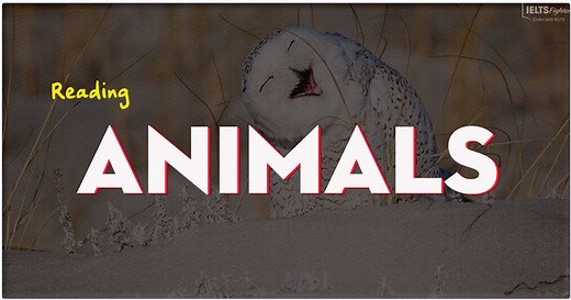 IELTS Reading topic Animals