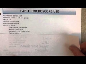 Bacteria Pronunciation