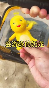 77K views · 330 reactions | Mini Pokemon Swim  | Creativity Joy | Facebook