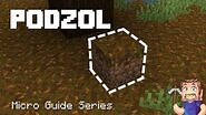 Podzol - Minecraft Micro Guide