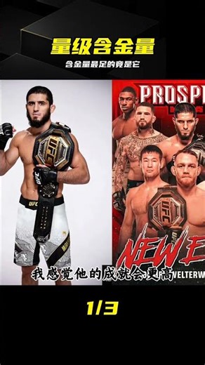 UFC冠軍含金量梯隊解析，誰才是真正的格斗之神 #UFC，佩雷拉，梅瑞笛斯，综合格斗，次中量级，含金量