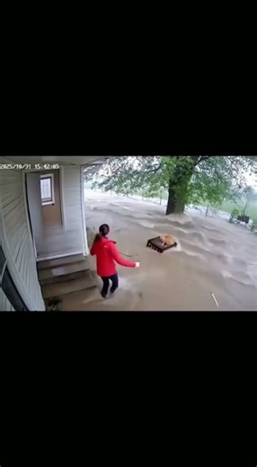CCTV Captures a Heartbreaking Flood Rescue Attempt
