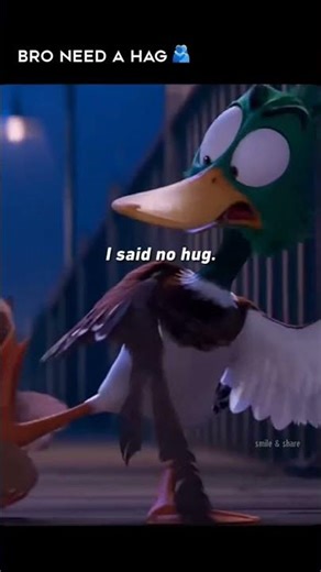 Bro Need A Hag #Migration #animalmovie #animation