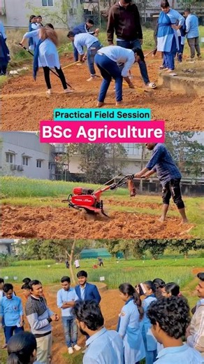 BSc Agriculture Course | BSc Agriculture | Study Motivation Hindi
