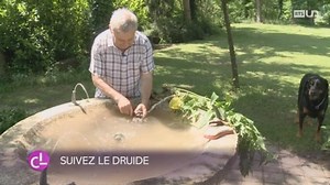 FR: un cataplasme à base de racine de consoude permettrait de guérir plus vite des fractures - Couleurs locales - Play RTS