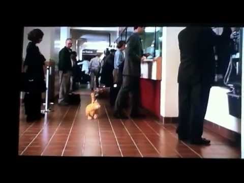 I can't outrun a train- Garfield the movie