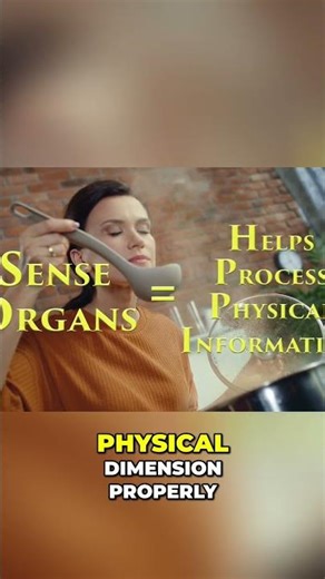 Unlock Your Body's 5 Senses - Eyes, Ears, Nose, Mouth, Skin!