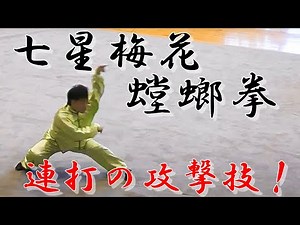 【演武】蟷螂拳 ～辻直人コーチ／宇治平盛武術倶楽部
