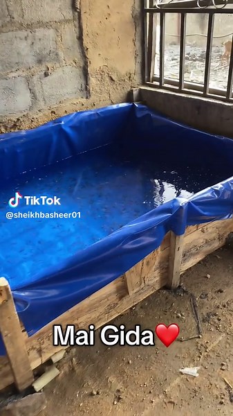 Bubbling Reactions in a Blue Plastic Pool Experiment