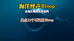 海洋怪声：Bloop，未知生物真的存在吗？盘点11个形态不同的布鲁