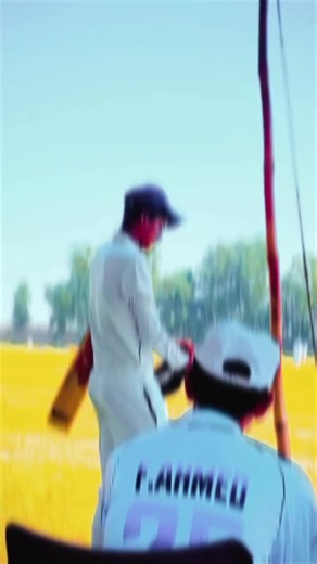 Exploring Cricket Love Through Song Lyrics