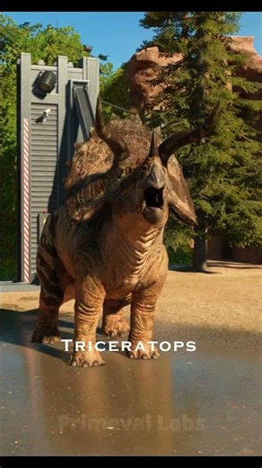 Tyrannosaurus Rex vs Triceratops — Who Wins?