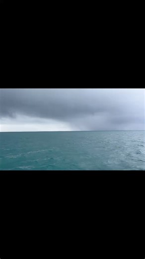 27 reactions | Exceed Sportfishing Port Douglas on Reels | Facebook