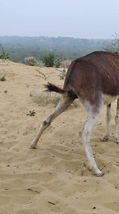 5.1K views · 29 reactions | GG on Reels | Facebook