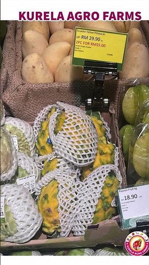 Why Ecuador Palora Yellow Dragon Fruit is the King of Dragon Fruits! | High Demand & Premium Taste