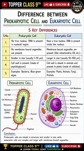 Difference Between Prokaryotic Cell and Eukaryotic Cell | Class 9 Science | NCERT Notes & Diagram