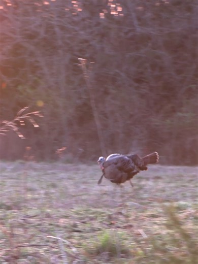 Episode 9 Redheads & Deadheads Is Now LIVE!! #turkeyseason24 #hunting #druryoutdoors_R