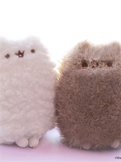 I love smirking 😳😅 ignore the mess I was in the middle of rearranging my closet 💔💔