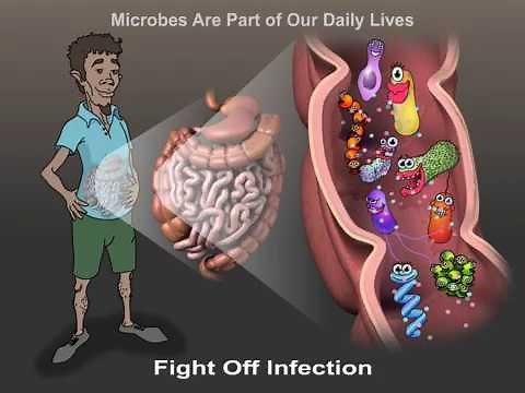 Microbial Enzymes and Us (Life Sciences Outreach, Harvard University)