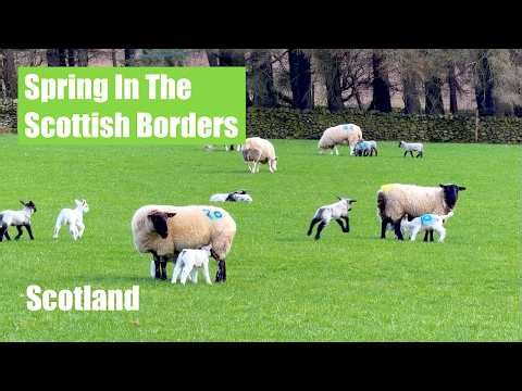 Springtime In The Scottish Borders of Scotland.