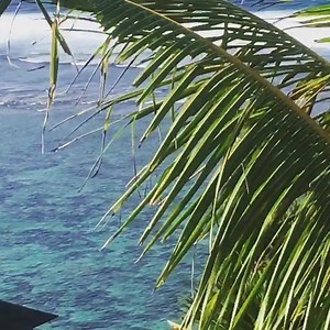 41 reactions · 13 comments | Animal movement 露‍♂️happening right now at our uluwatu retreat. A great way to warm up the body for an active day here in paradise. Great motivation from nature working out to this amazing view! Come join us this July or August, we have 7 spots left at our week long luxe #yogaretreat and #fitnesscamp so claim yours! Email info@escapehaven.com and come play! ‍♀️ | Escape Haven Retreats | Facebook