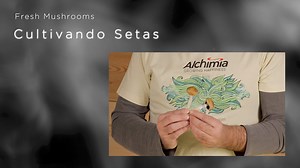 Growing Fresh Mushrooms magic mushrooms. Tutorial video